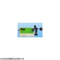 DP-LVFCY-02 风速报警仪/在线式风速仪