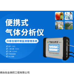 CJGA-1  CJGA-2 果蔬保鲜库气体分析仪便携式