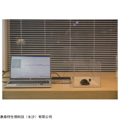 sight 脑体互作前沿技术-微型显微镜系统