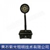 YF2352輕便強(qiáng)光工作燈