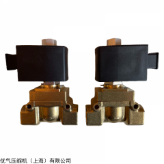 南京順風(fēng)船用壓縮機(jī)電磁閥總成