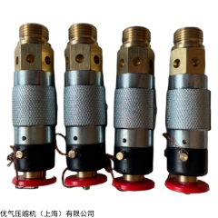 南京壓縮機(jī)WP32L、WP25L、WP18L船用安全閥