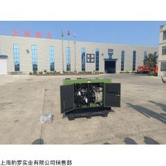 大澤動(dòng)力柴油30kw發(fā)電機(jī)戶(hù)外應(yīng)急