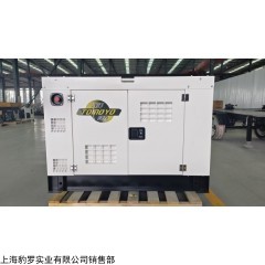 大澤動(dòng)力20千瓦柴油發(fā)電機(jī)省油型