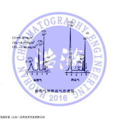 TDX-01，， GB/T 18204.23-2000 公共场所空气中一氧化碳测定填充柱