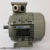 AC-MOTOREN电机FCM 160L6/PHE