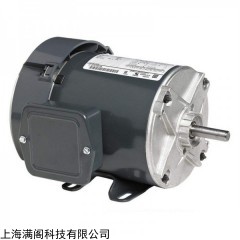 MARATHON電機