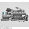 现货西班牙GUASCOR发电机组