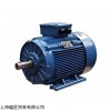 熱銷MarelliMotori中壓異步發電機