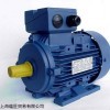 DUTCHI电机IE2 Y2-160L-4，15KW 50HZ IP55 380/660V B3