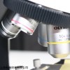 供应日本Olympus显微镜