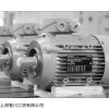 全新正品LAMMERS電機(jī)