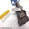 售卖VELAN闸阀