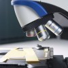 全新供应Olympus探头